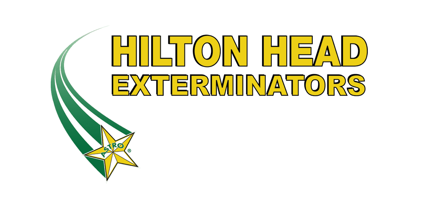 Hilton Head Exterminators
