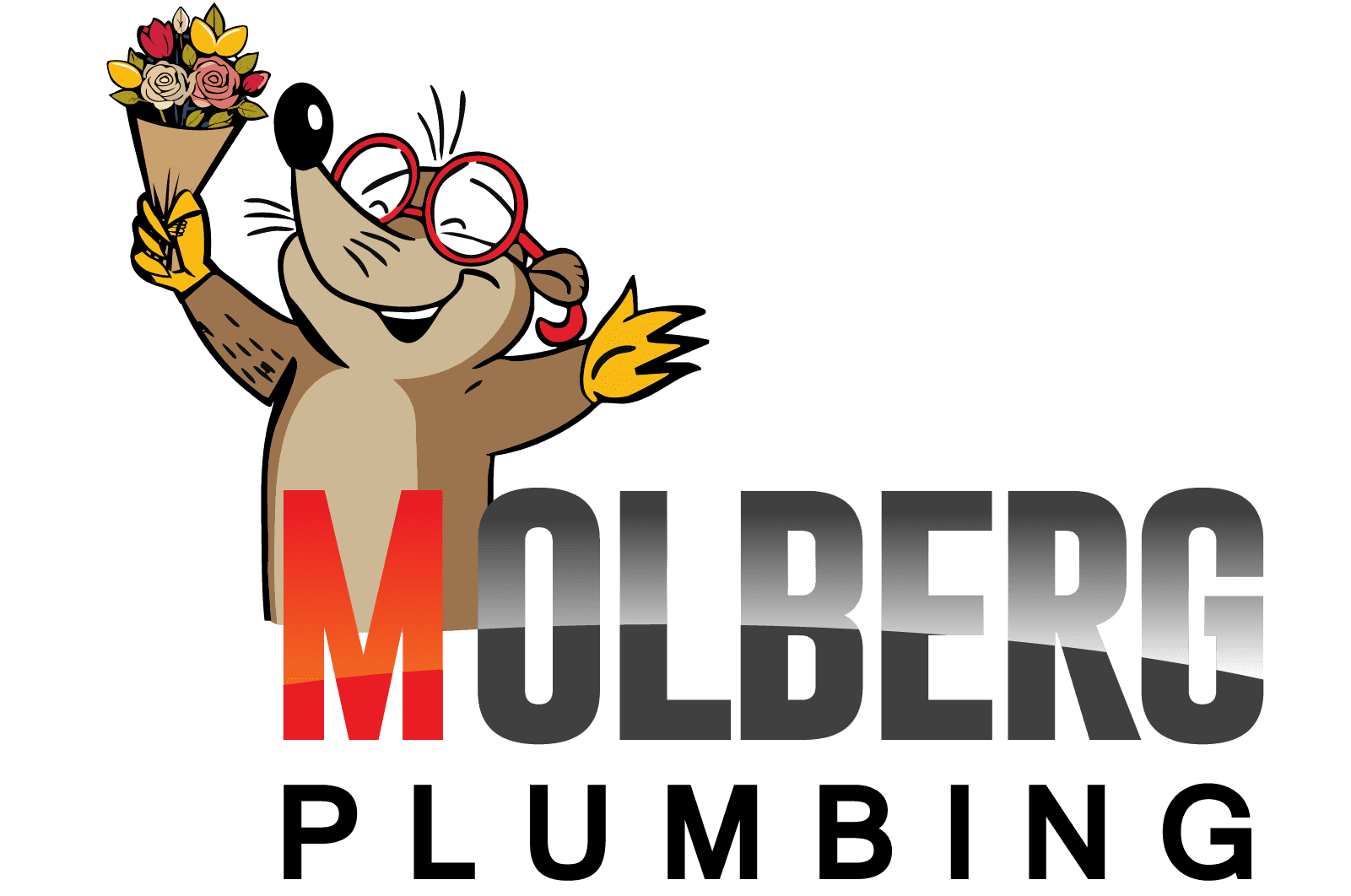 Molberg Plumbing